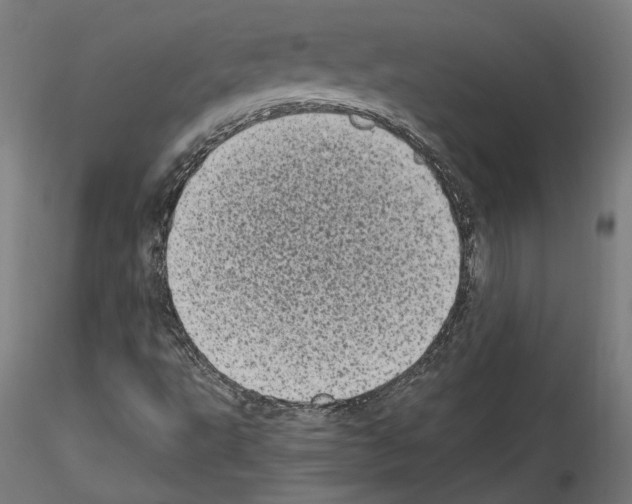 X0000114521495200911301104