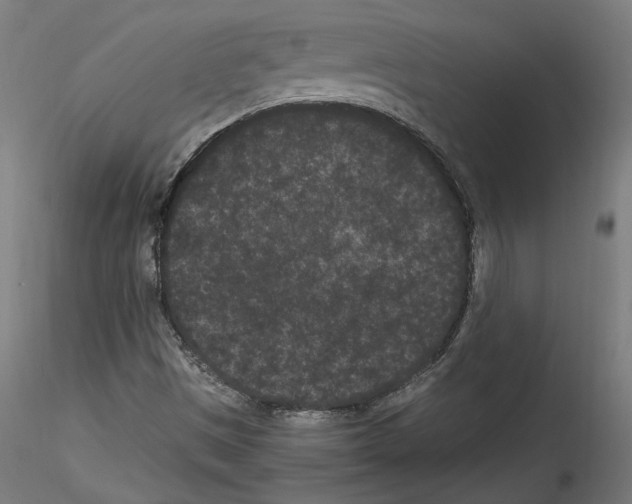 X0000114521497200911301104