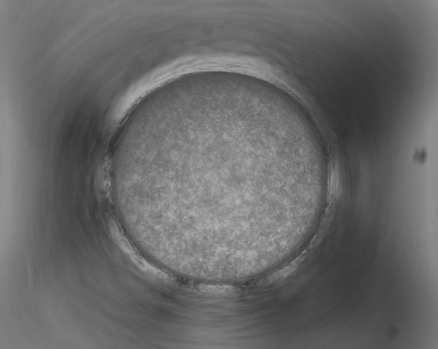 X0000114521498200911301104