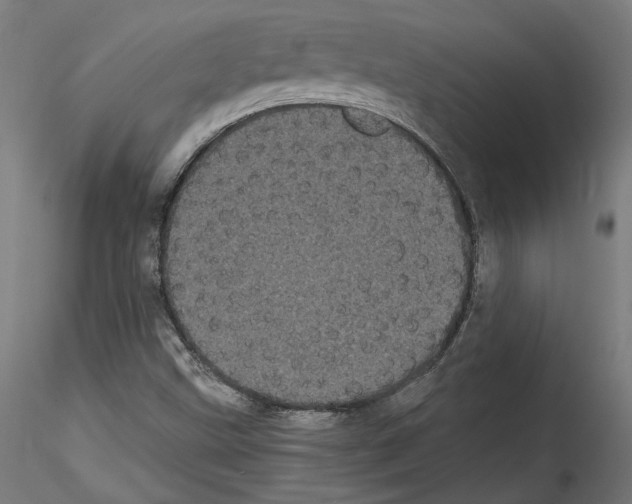 X0000114521499200911301104