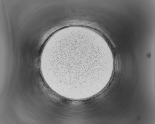 X0000114521501200911301104