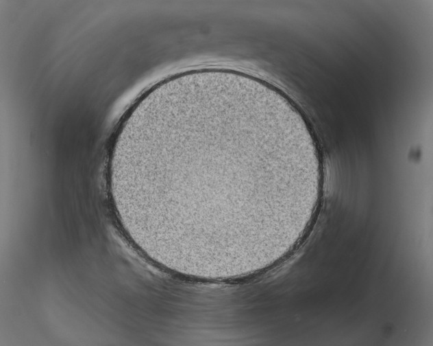 X0000114521502200911301104