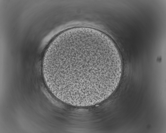 X0000114521503200911301104