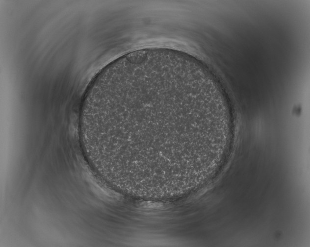 X0000114521505200911301104