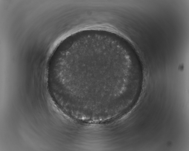 X0000114521506200911301104