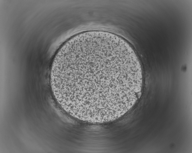 X0000114521507200911301104