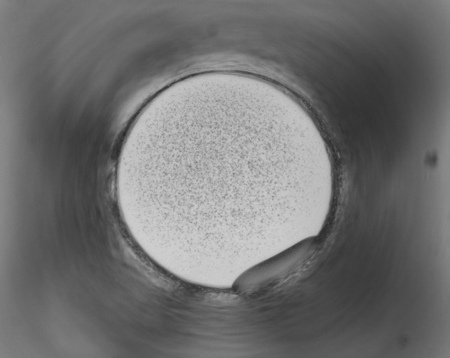 X0000114521509200911301104