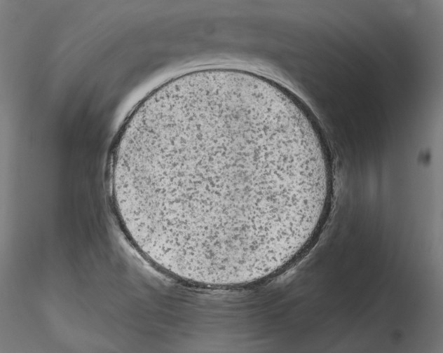 X0000114521510200911301104