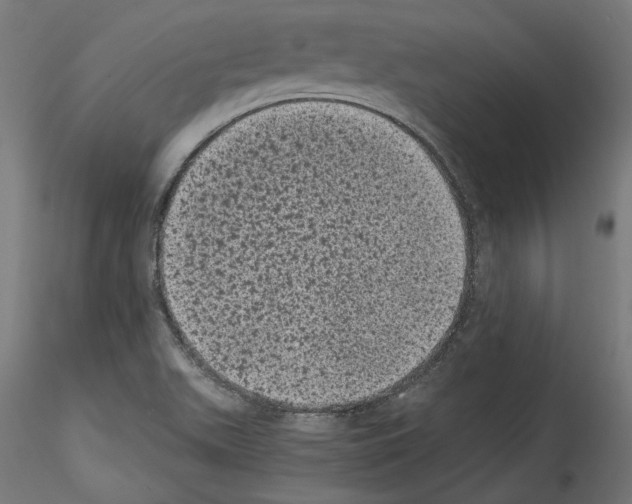 X0000114521511200911301104