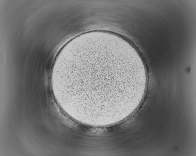 X0000114521513200911301104