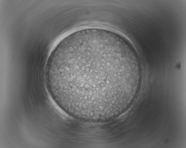 X0000114521514200911301104