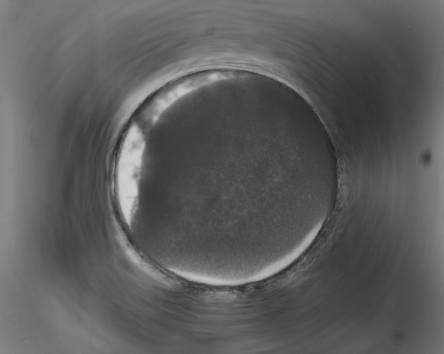 X0000114521515200911301104