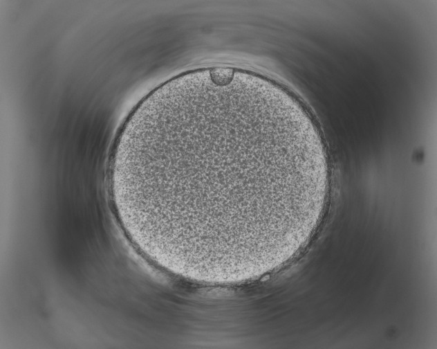 X0000114521517200911301104