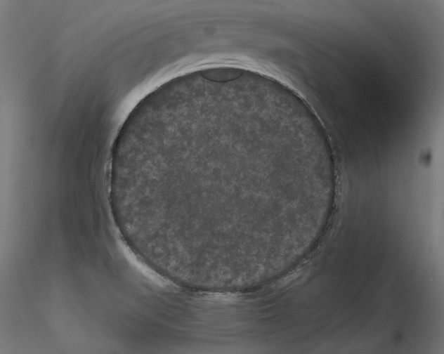 X0000114521519200911301104