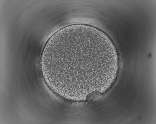 X0000114521521200911301104