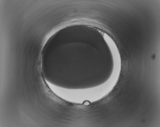 X0000114521522200911301104