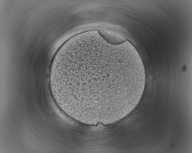 X0000114521523200911301104