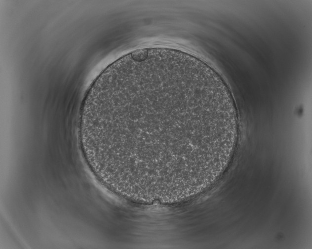 X0000114521525200911301104