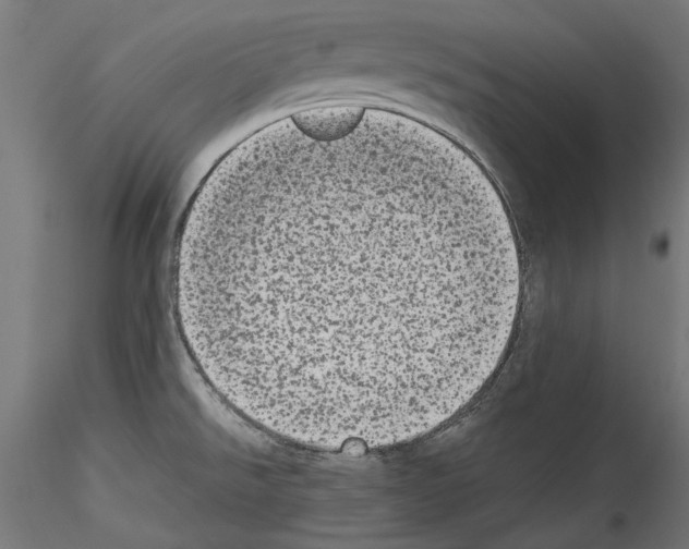 X0000114521526200911301104