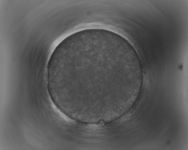 X0000114521527200911301104