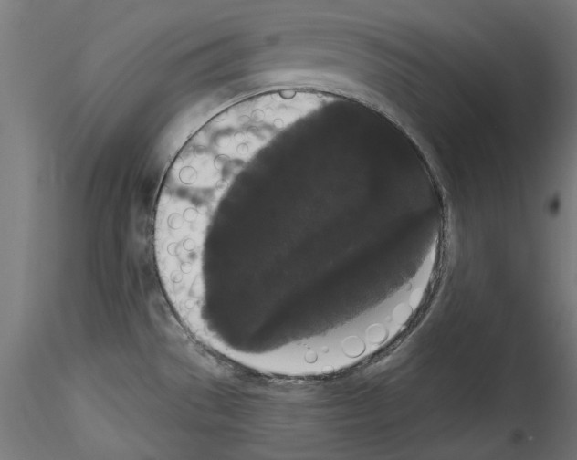 X0000114521529200911301104