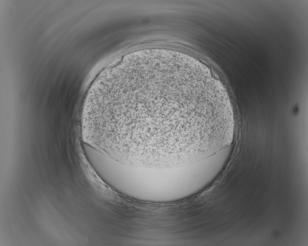 X0000114521530200911301104