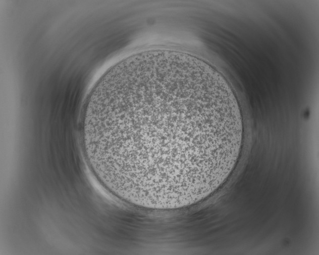 X0000114521531200911301104