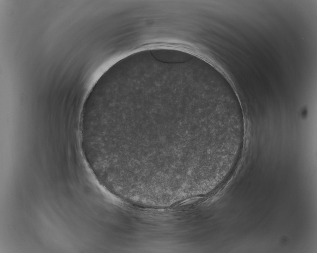 X0000114521533200911301105