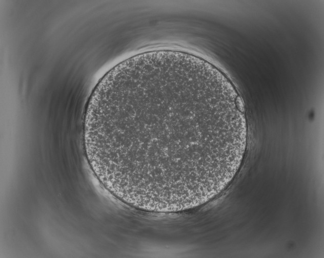 X0000114521534200911301105