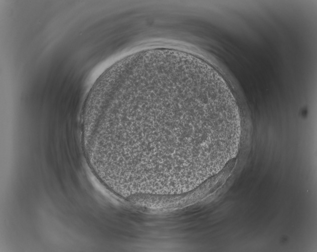 X0000114521535200911301105