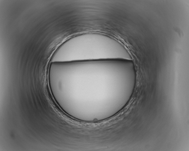 X0000114530002200910191019