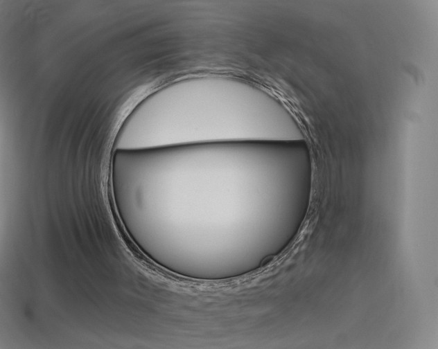 X0000114530003200910191019