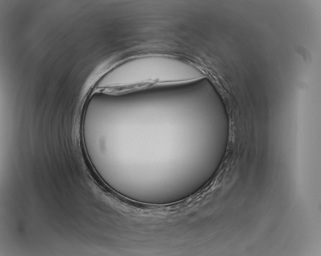 X0000114530004200910191019