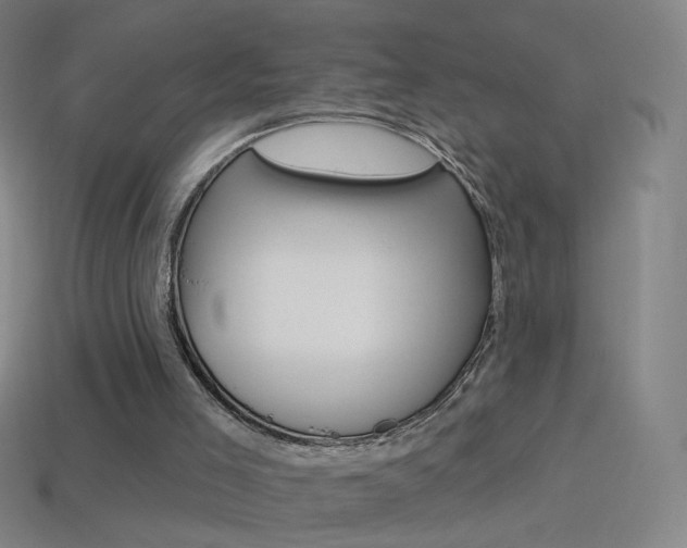 X0000114530005200910191019
