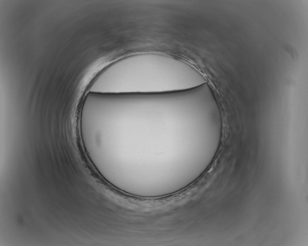 X0000114530006200910191019