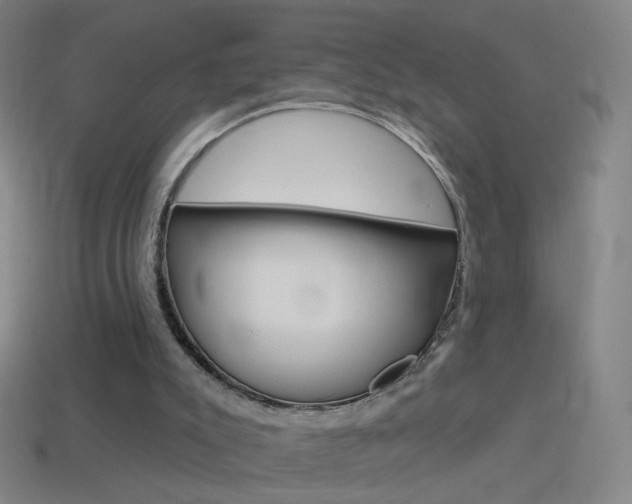 X0000114530007200910191019