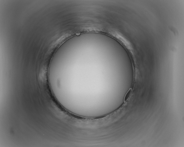 X0000114530009200910191019