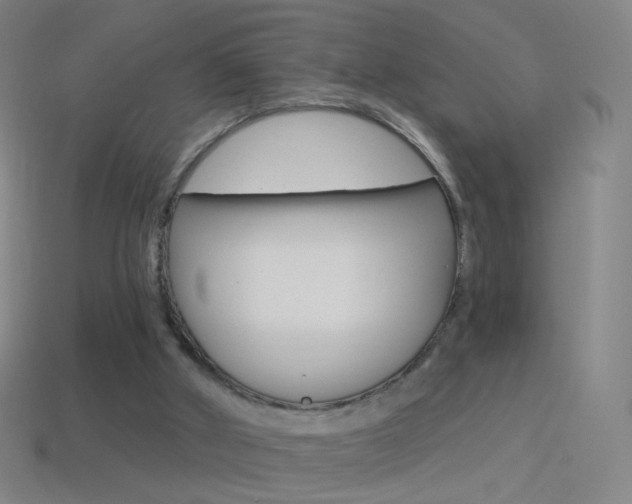 X0000114530010200910191019