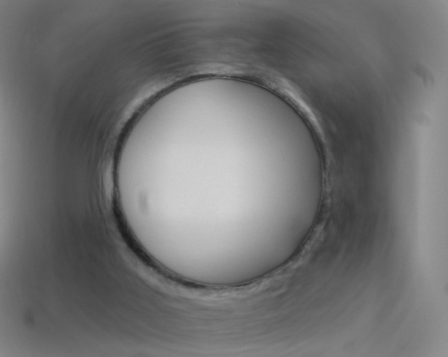 X0000114530011200910191019
