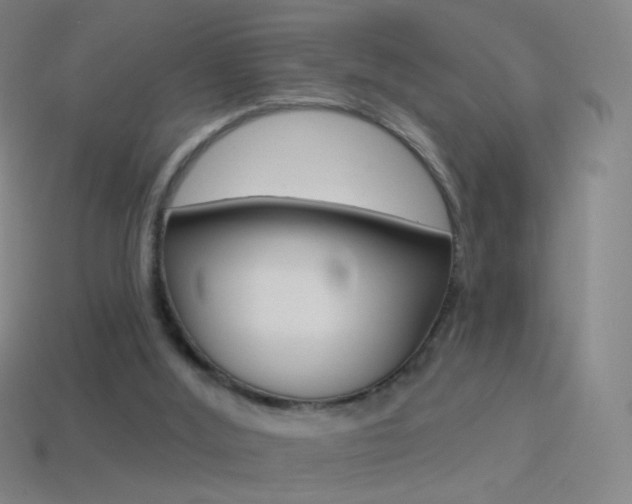 X0000114530012200910191019