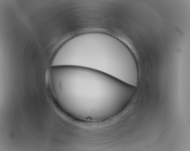 X0000114530013200910191019