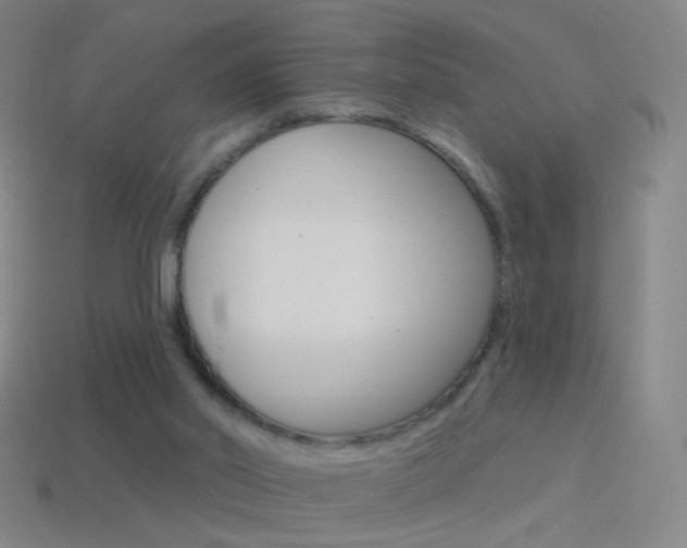 X0000114530014200910191019