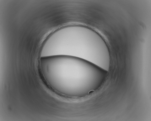 X0000114530015200910191019