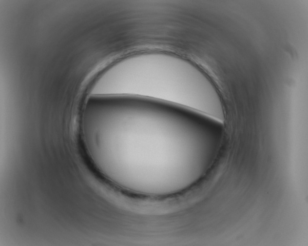 X0000114530016200910191019