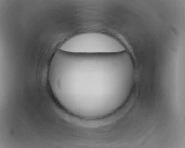 X0000114530018200910191019