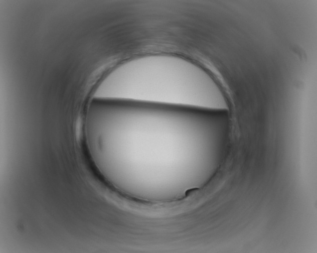 X0000114530019200910191019