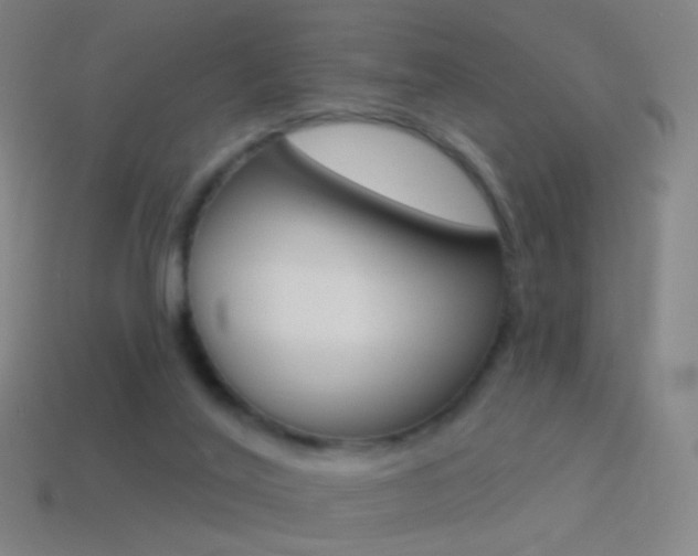 X0000114530020200910191019