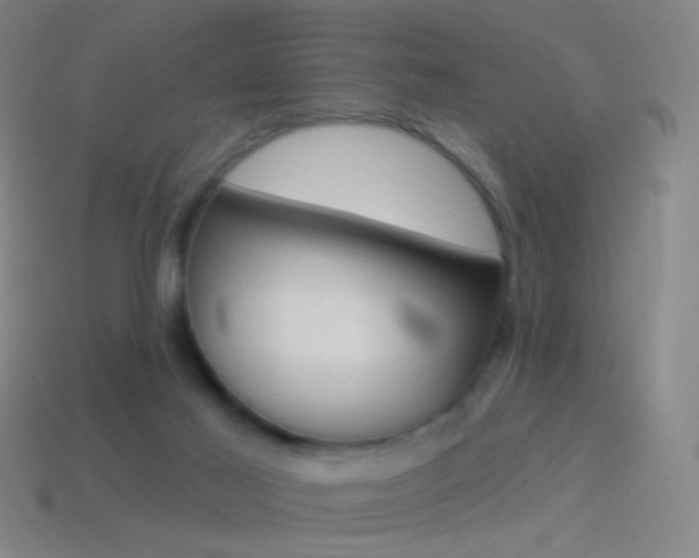 X0000114530021200910191019