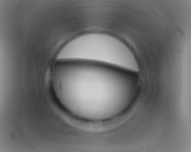 X0000114530024200910191019