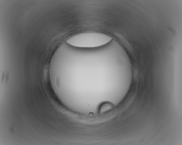 X0000114530026200910191019
